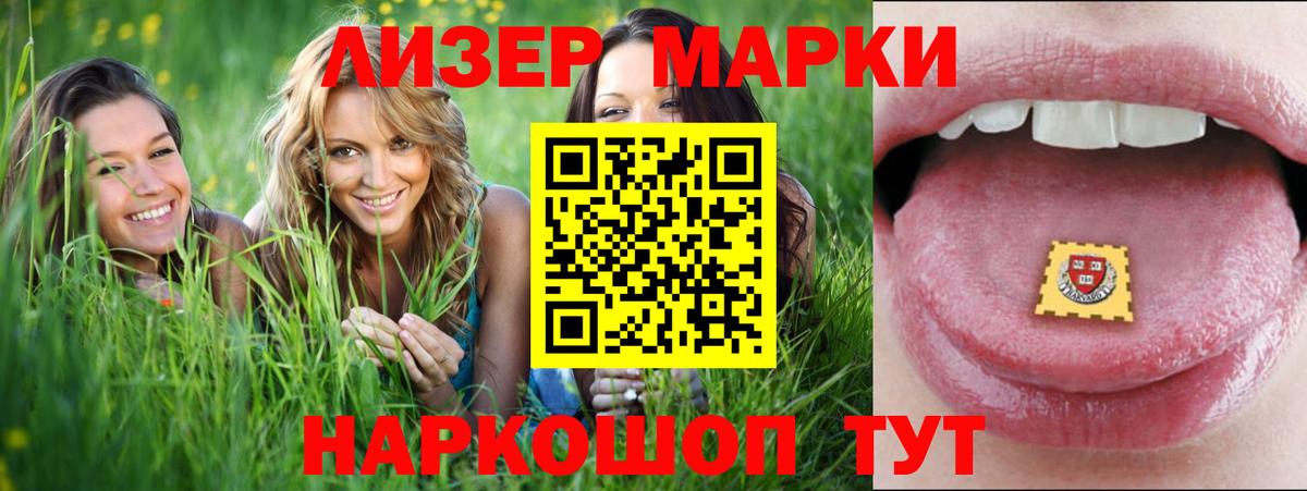 Меф Калининград