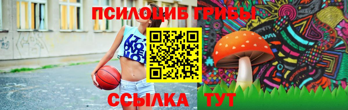 Галлюциногенные грибы мицелий Калининград